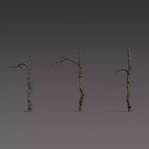 3 Stylized Dead Tree