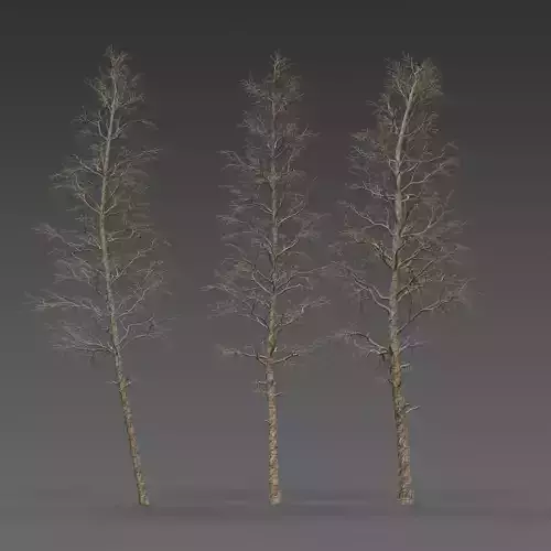 Dead Pine Tree Pack
