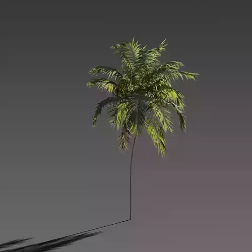 Set of 6 Stylized Palm Tree