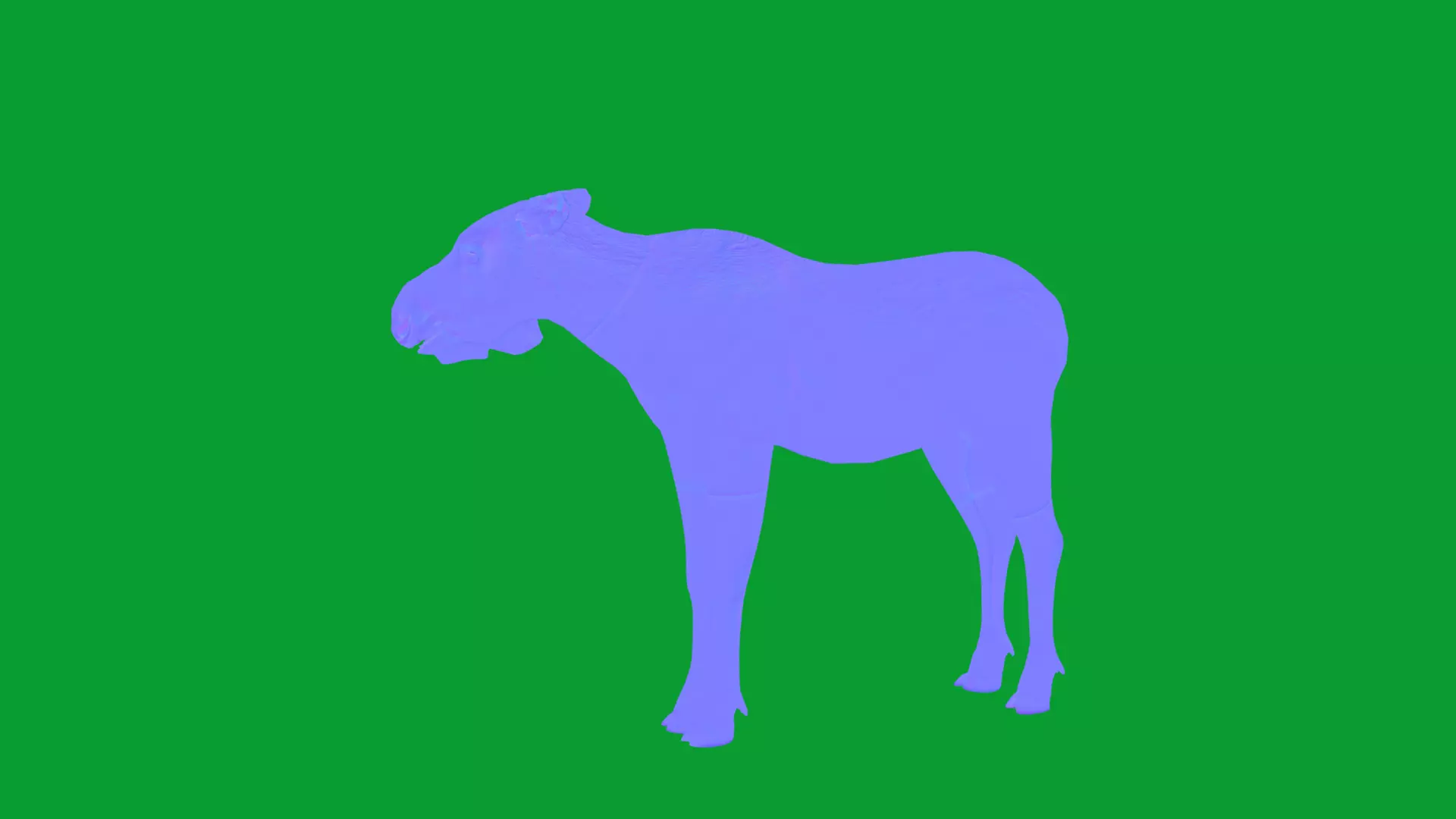 European Female Moose Elk Low-poly 3D model_14