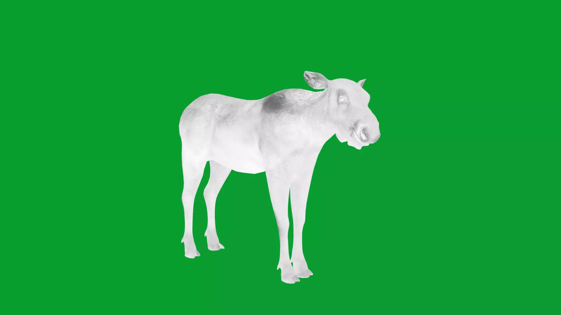 European Female Moose Elk Low-poly 3D model_9