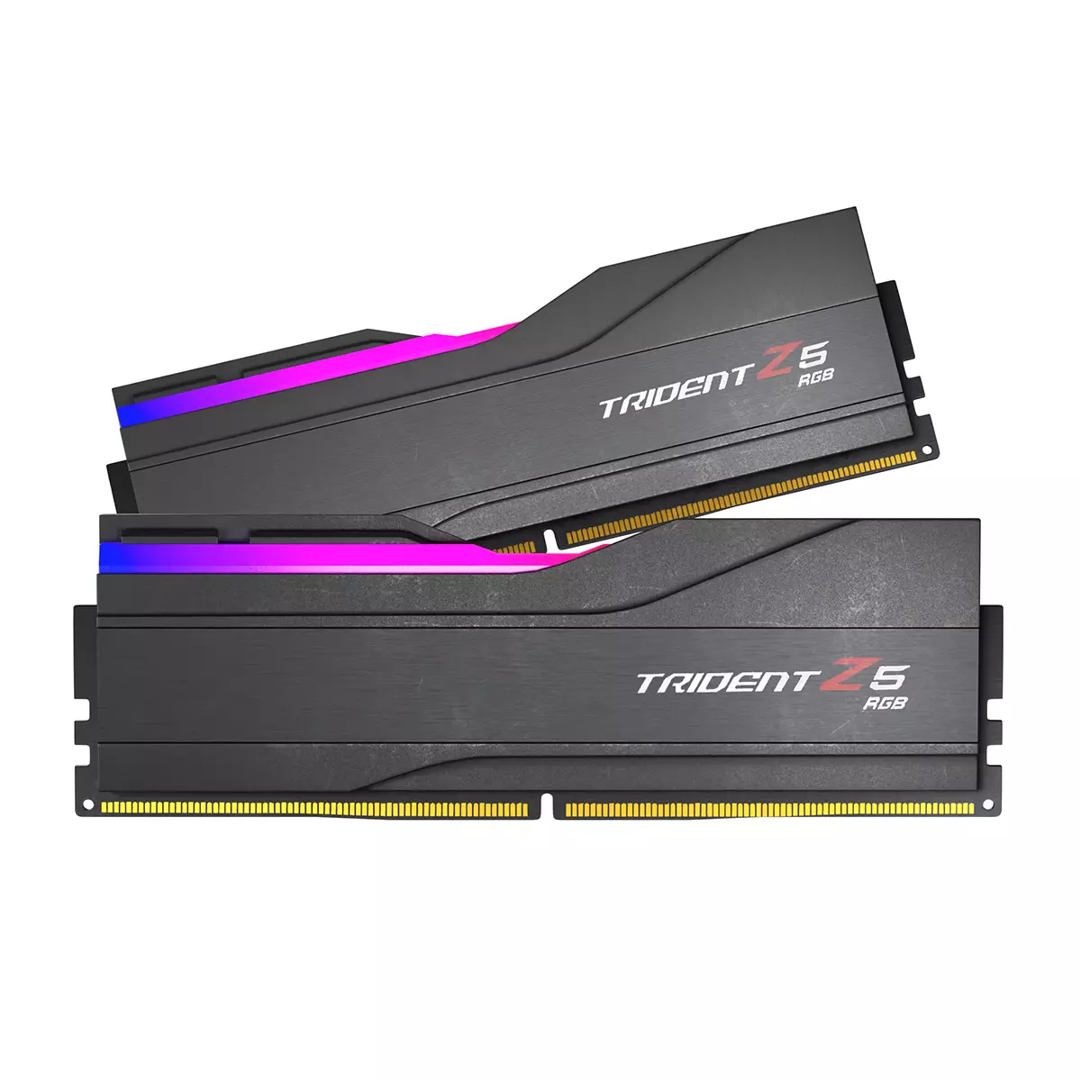 GSkill Trident Z5 RGB 3D model_1