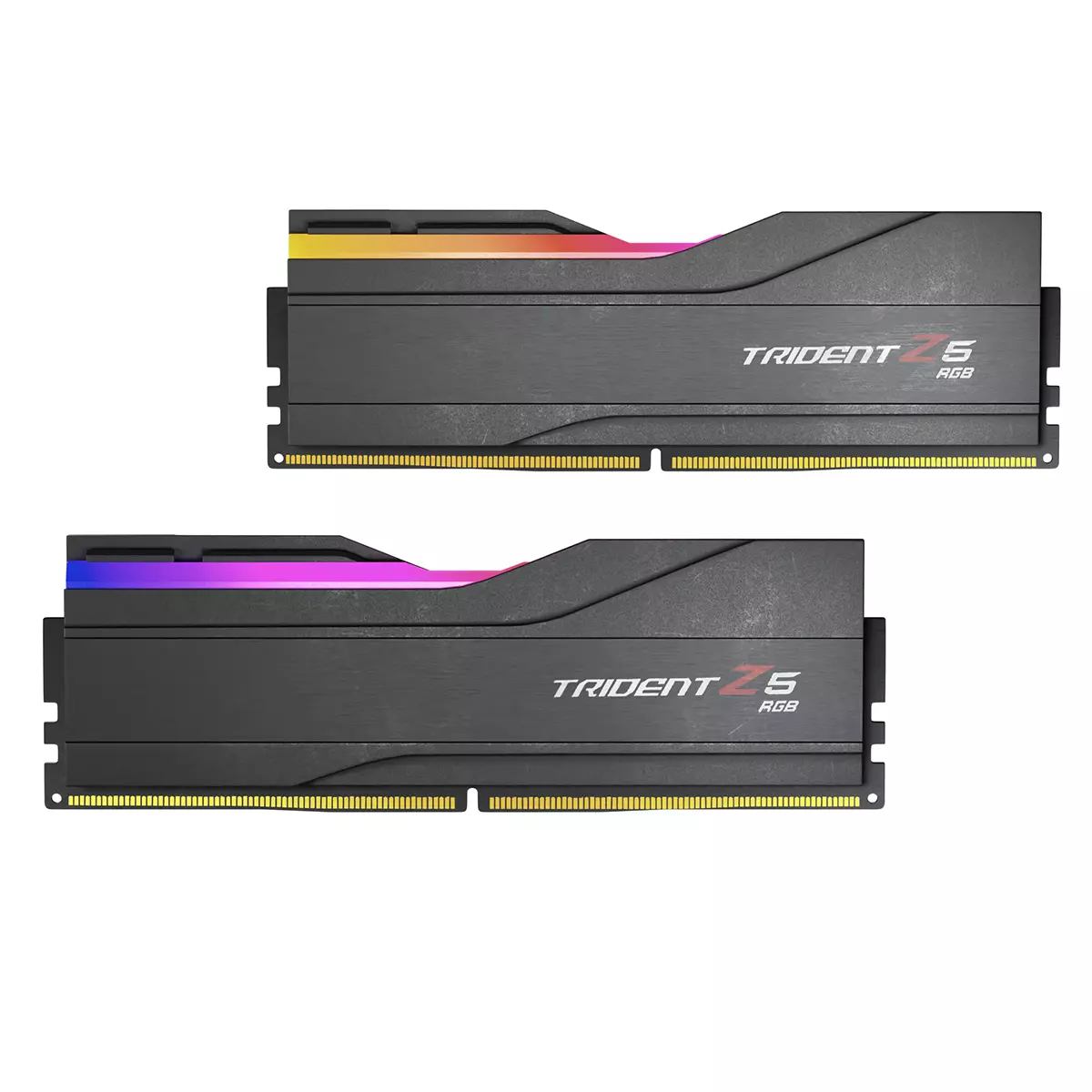 GSkill Trident Z5 RGB 3D model_2