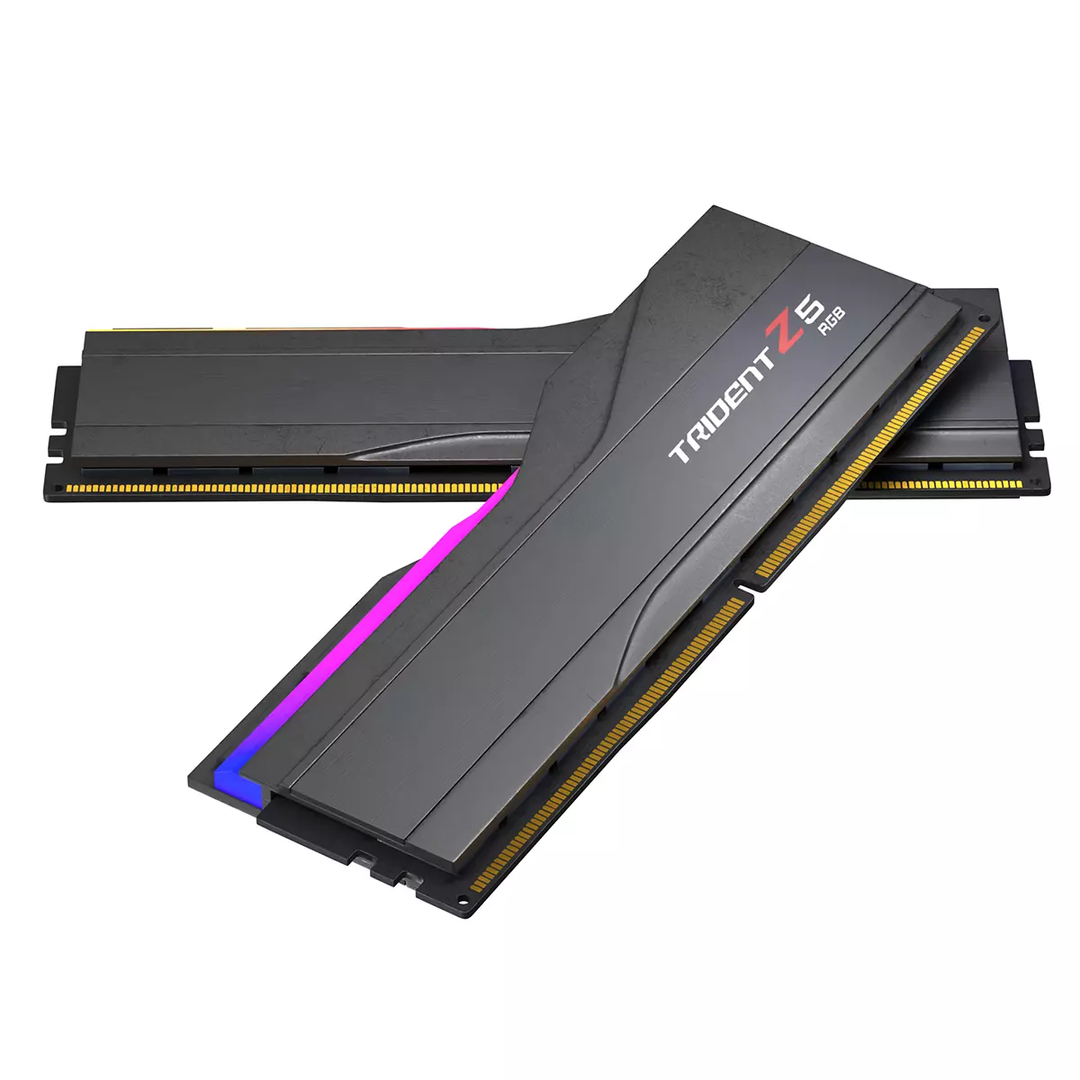 GSkill Trident Z5 RGB 3D model_0