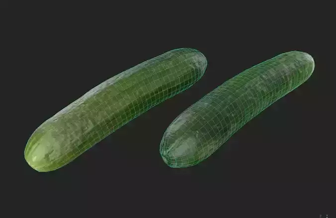 Cucumber M01 Low-poly 3D model 2