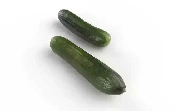 Cucumber M02 Low-poly 3D model 5