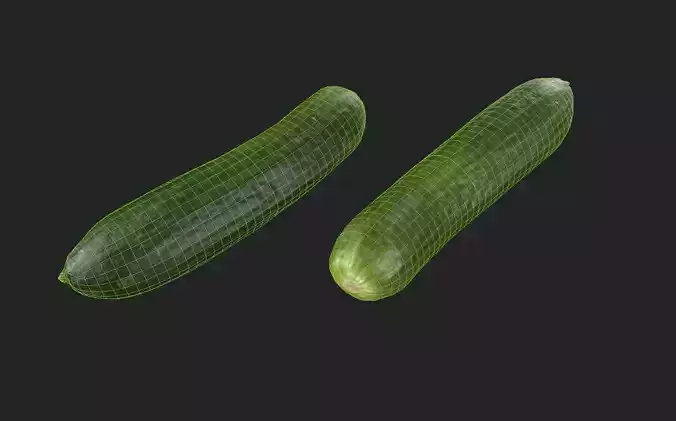 Cucumber M02 Low-poly 3D model 2