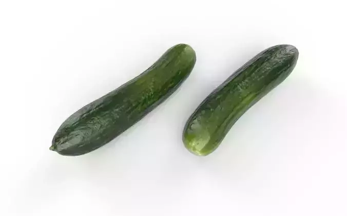 Cucumber M02 Low-poly 3D model 6