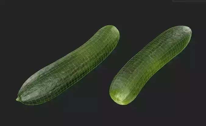 Cucumber M02 Low-poly 3D model 7