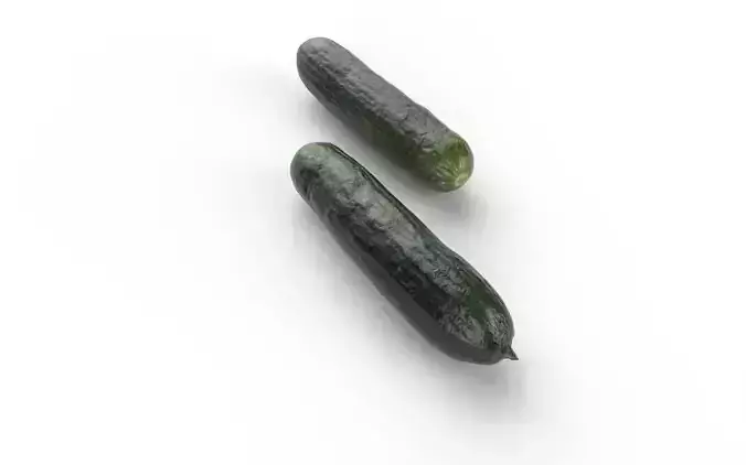 Cucumber M03 Low-poly 3D model 5