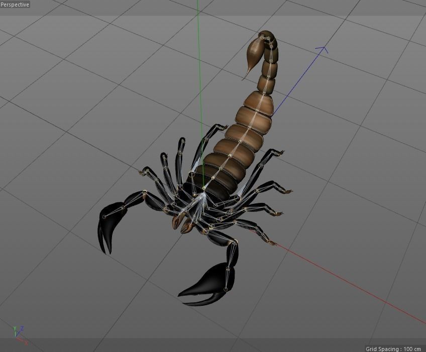 Scorpion Rig 3D model_1