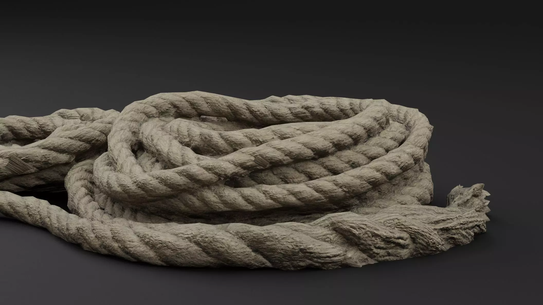 Bundled Rope Coils Low-poly 3D model_1