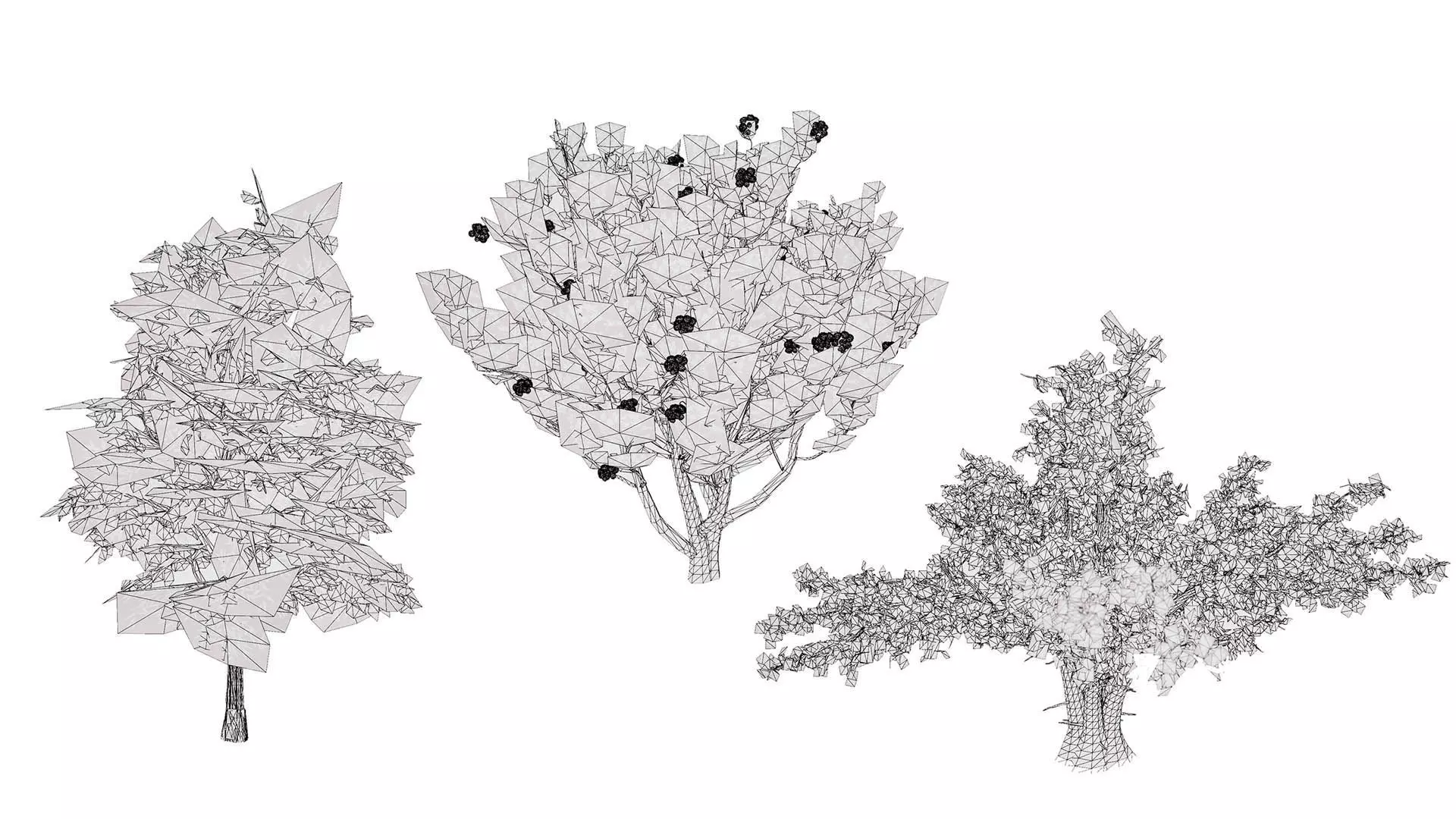 Moroccan Tree Pack Low-poly 3D model_11