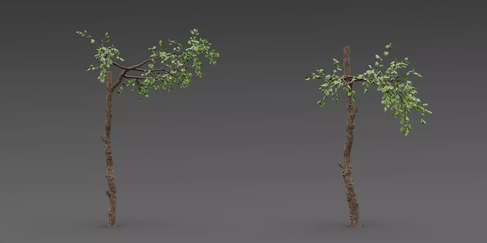 Stylized Tree Trunk Collection 3D model_2