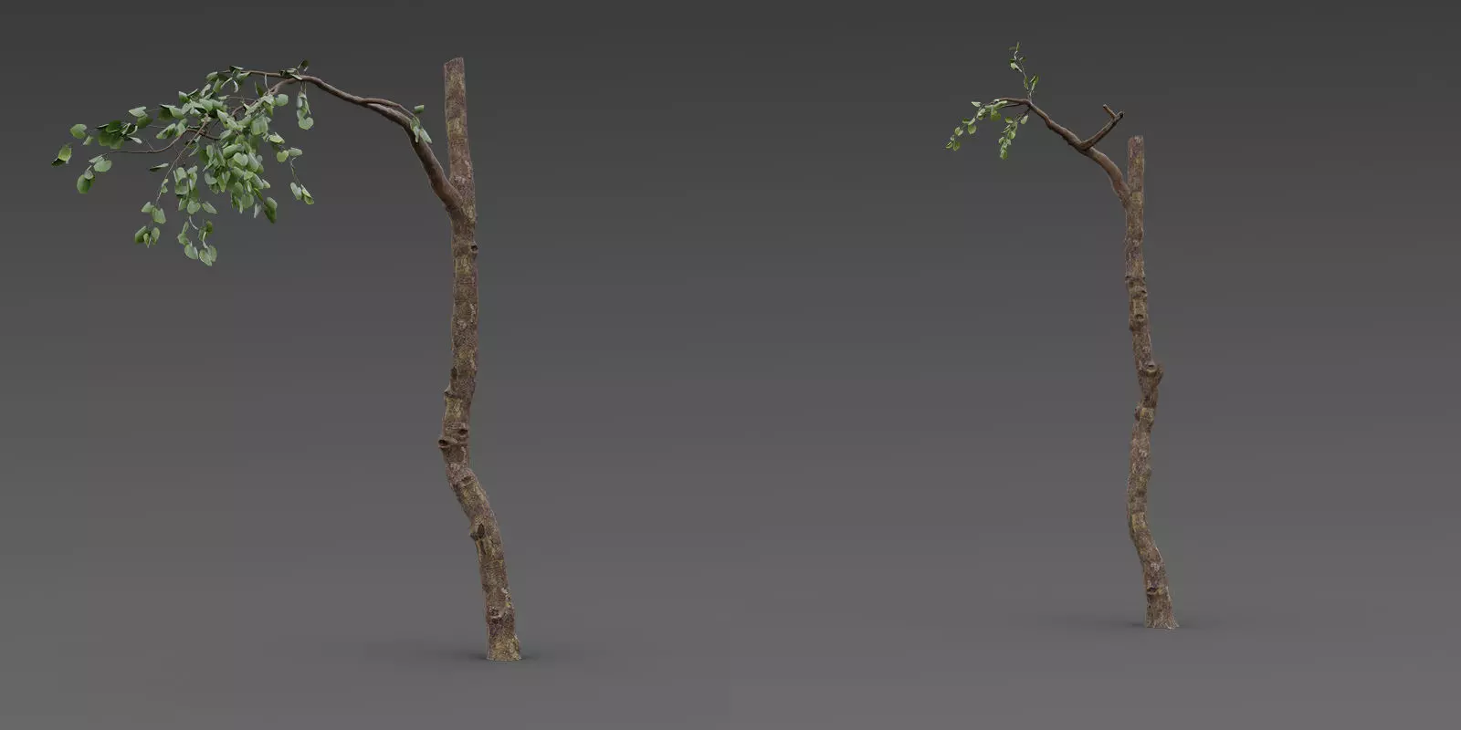 Stylized Tree Trunk Collection 3D model_4