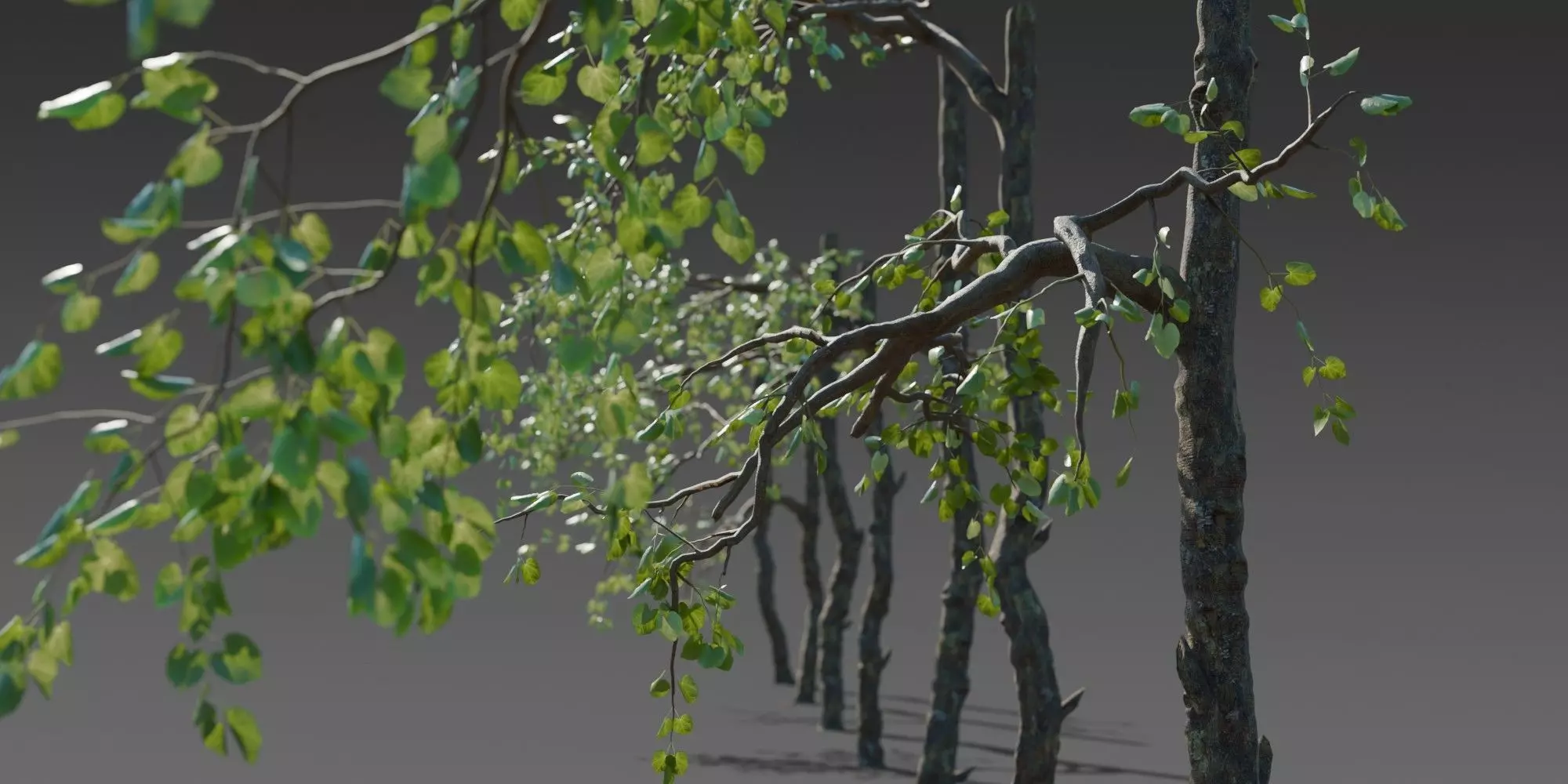 Stylized Tree Trunk Collection 3D model_6