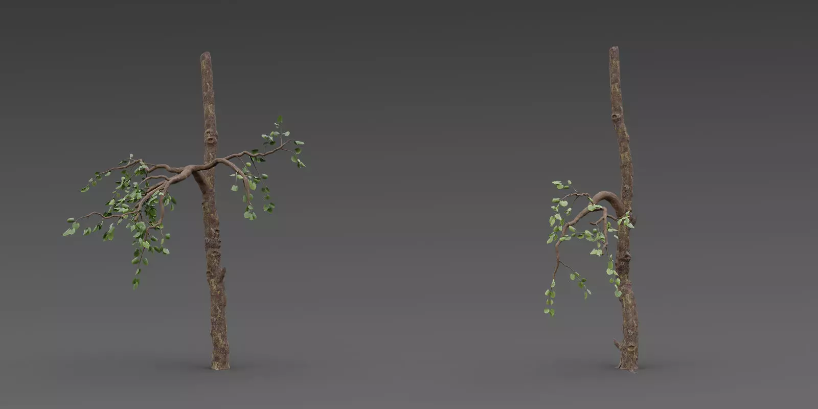 Stylized Tree Trunk Collection 3D model_3