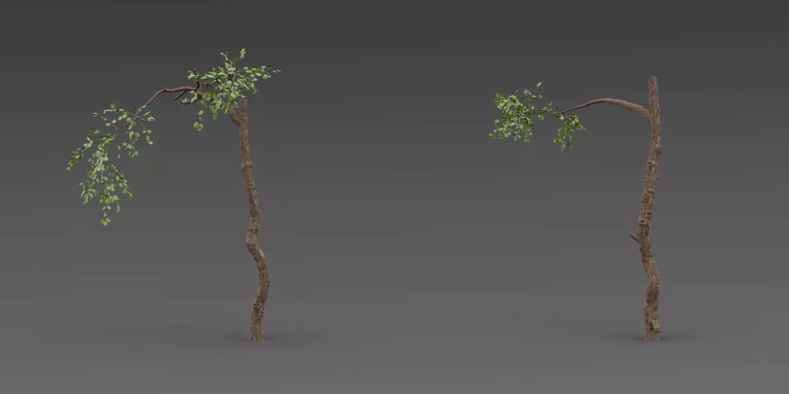 Stylized Tree Trunk Collection 3D model_1
