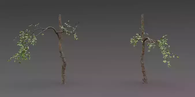 Stylized Tree Trunk Collection