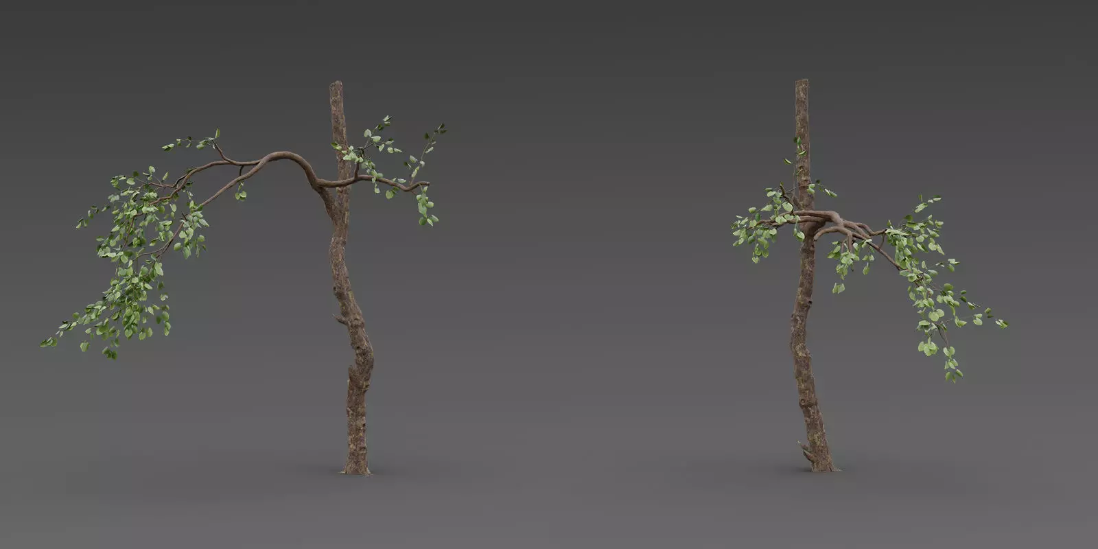 Stylized Tree Trunk Collection 3D model_0