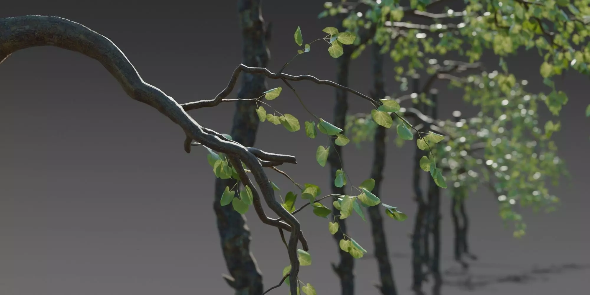 Stylized Tree Trunk Collection 3D model_5