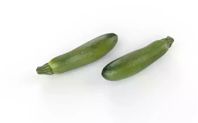 Zucchini M01