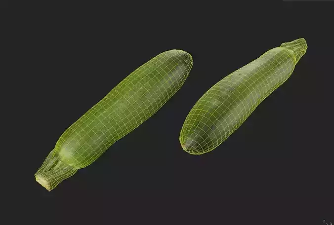 Zucchini M01 Low-poly 3D model 7