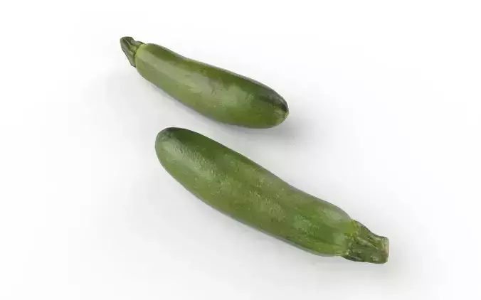 Zucchini M01 Low-poly 3D model 5