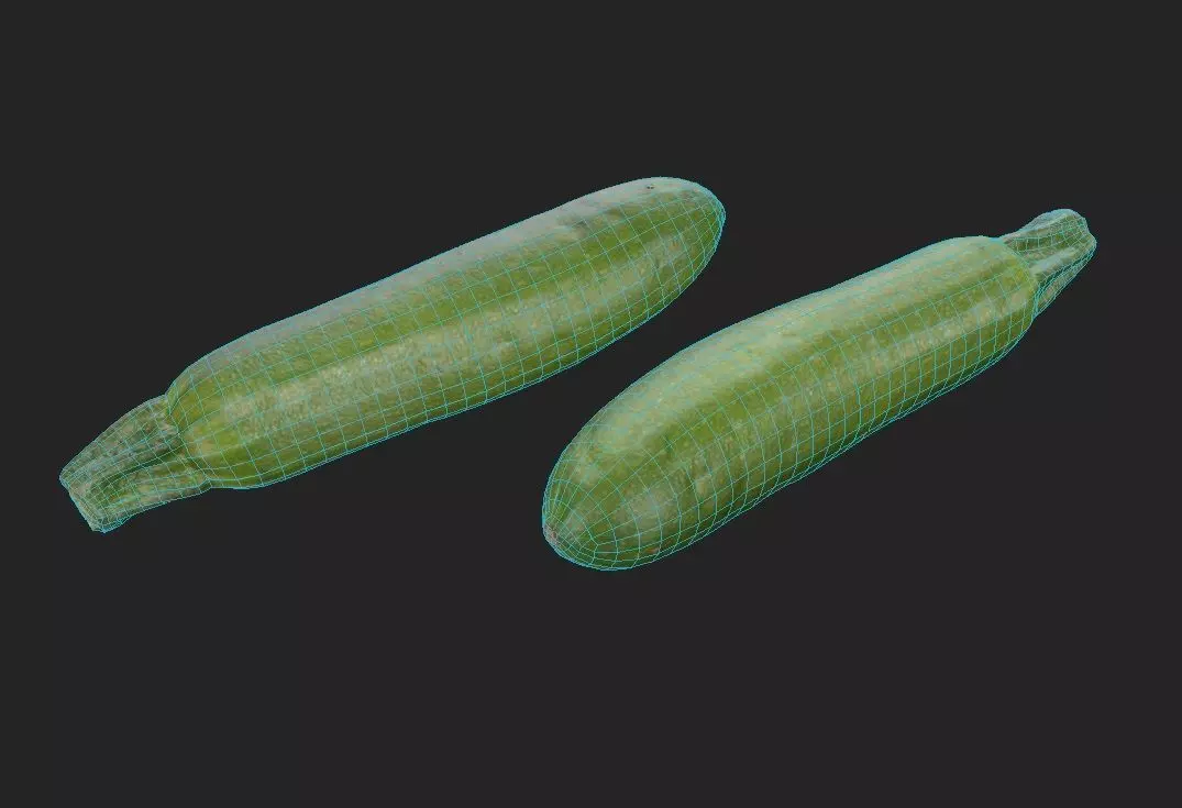 Zucchini M02 Low-poly 3D model_1