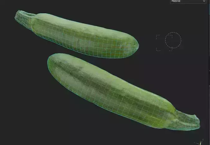 Zucchini M02 Low-poly 3D model 7