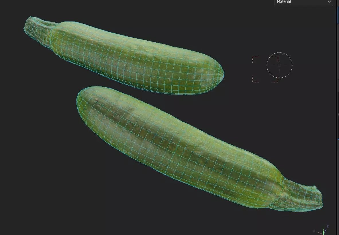 Zucchini M02 Low-poly 3D model_6