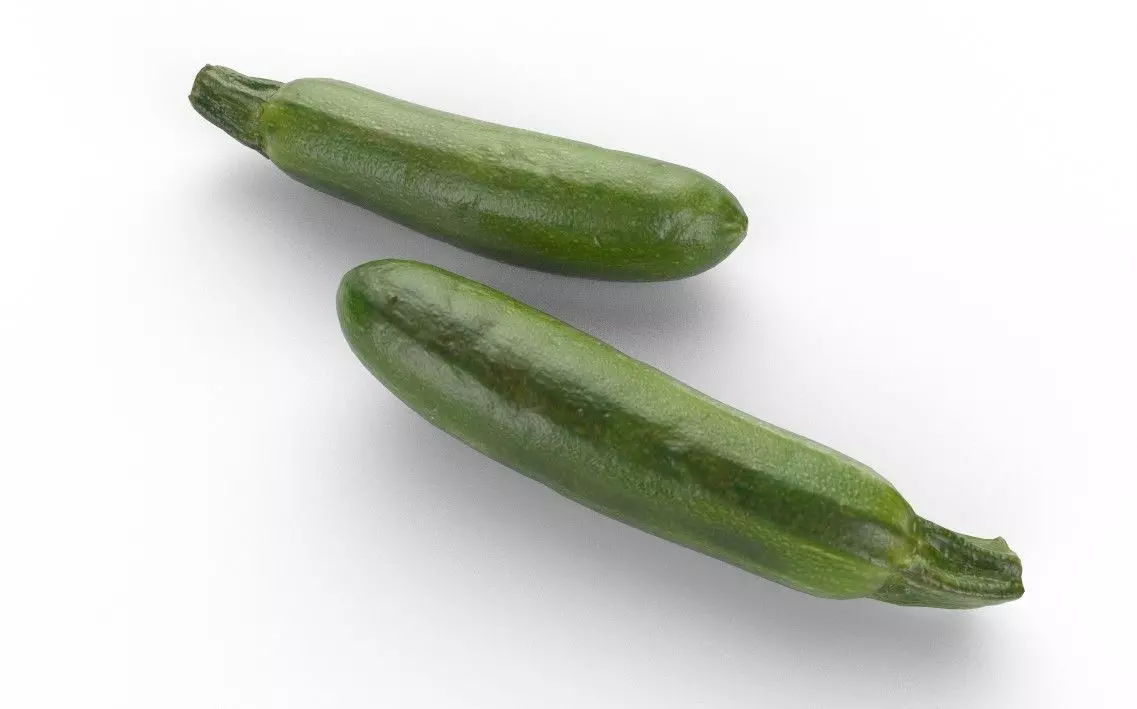 Zucchini M02 Low-poly 3D model_5