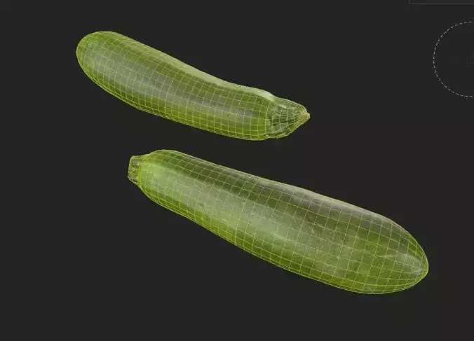 Zucchini M03 Low-poly 3D model 7