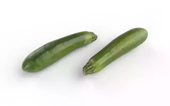 Zucchini M03