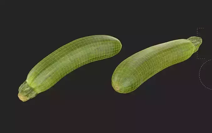 Zucchini M04 Low-poly 3D model 2