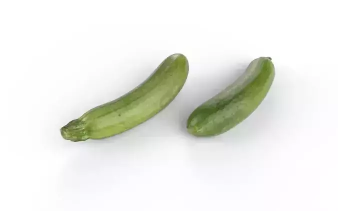Zucchini M04 Low-poly 3D model 6