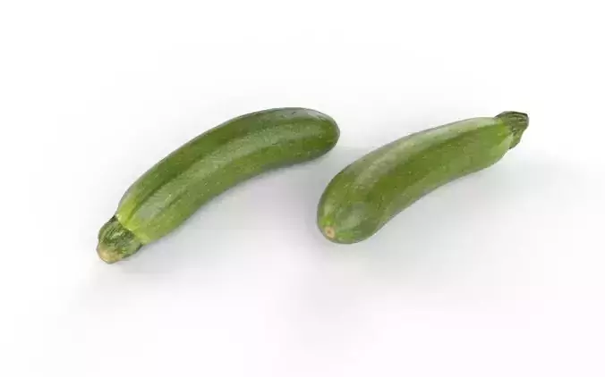 Zucchini M04