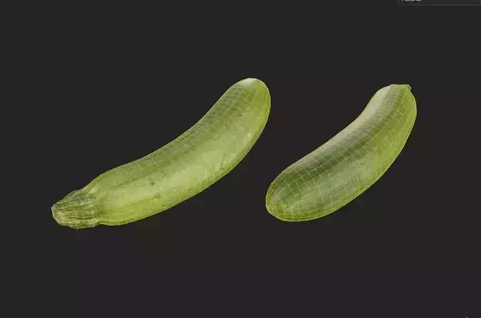 Zucchini M04 Low-poly 3D model 7