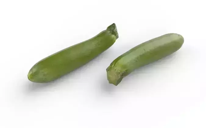 Zucchini M05