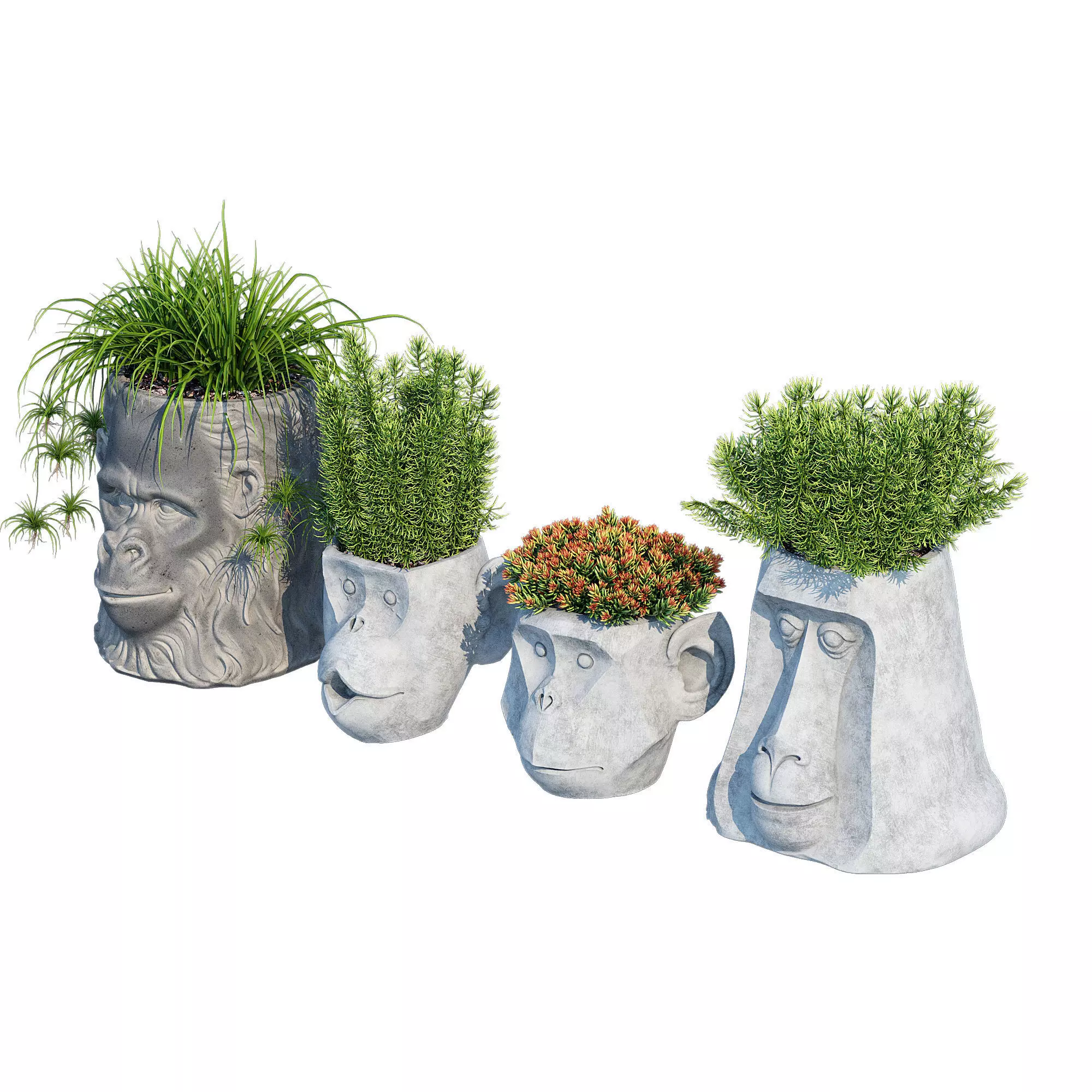 Monkey Head 3D model_2