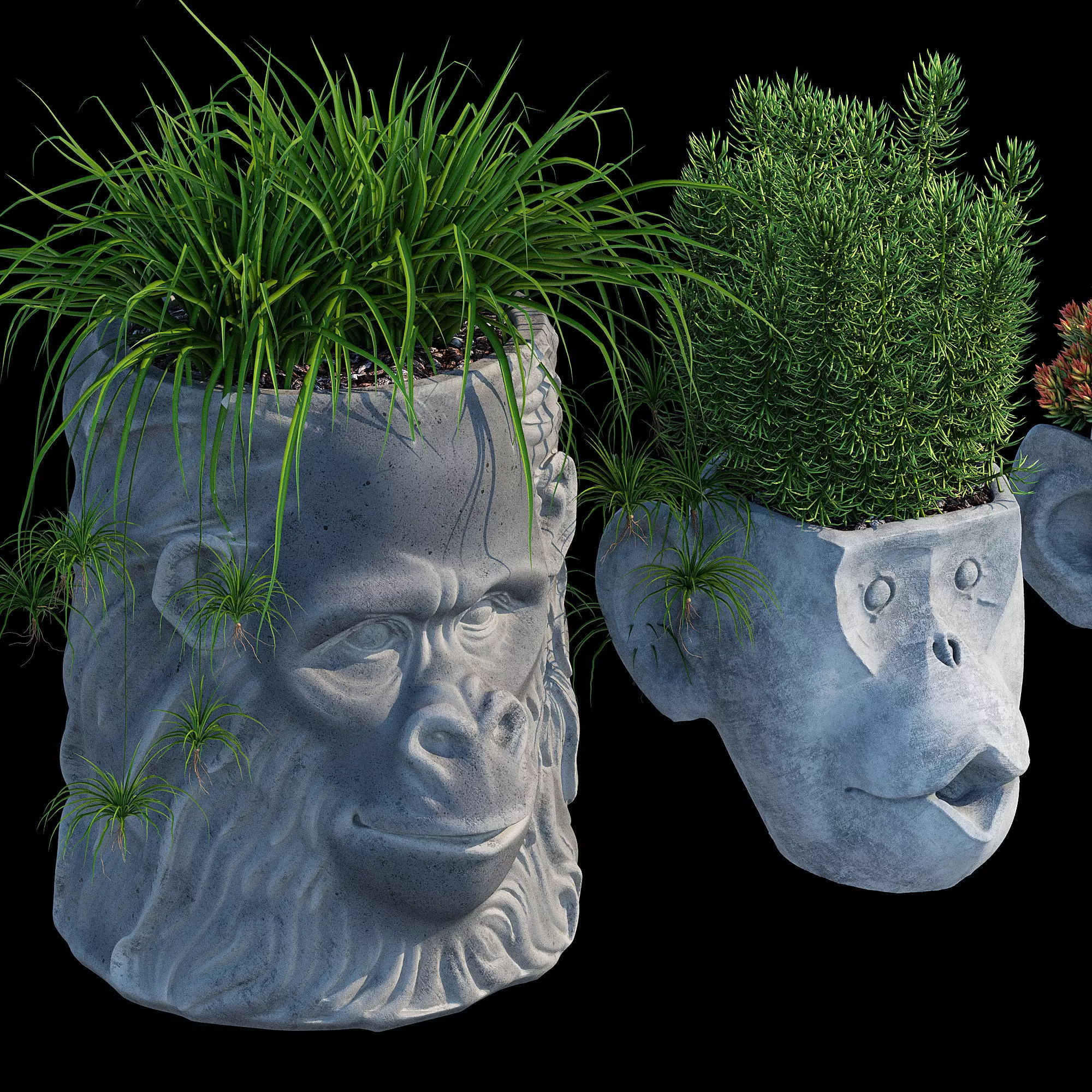 Monkey Head 3D model_12