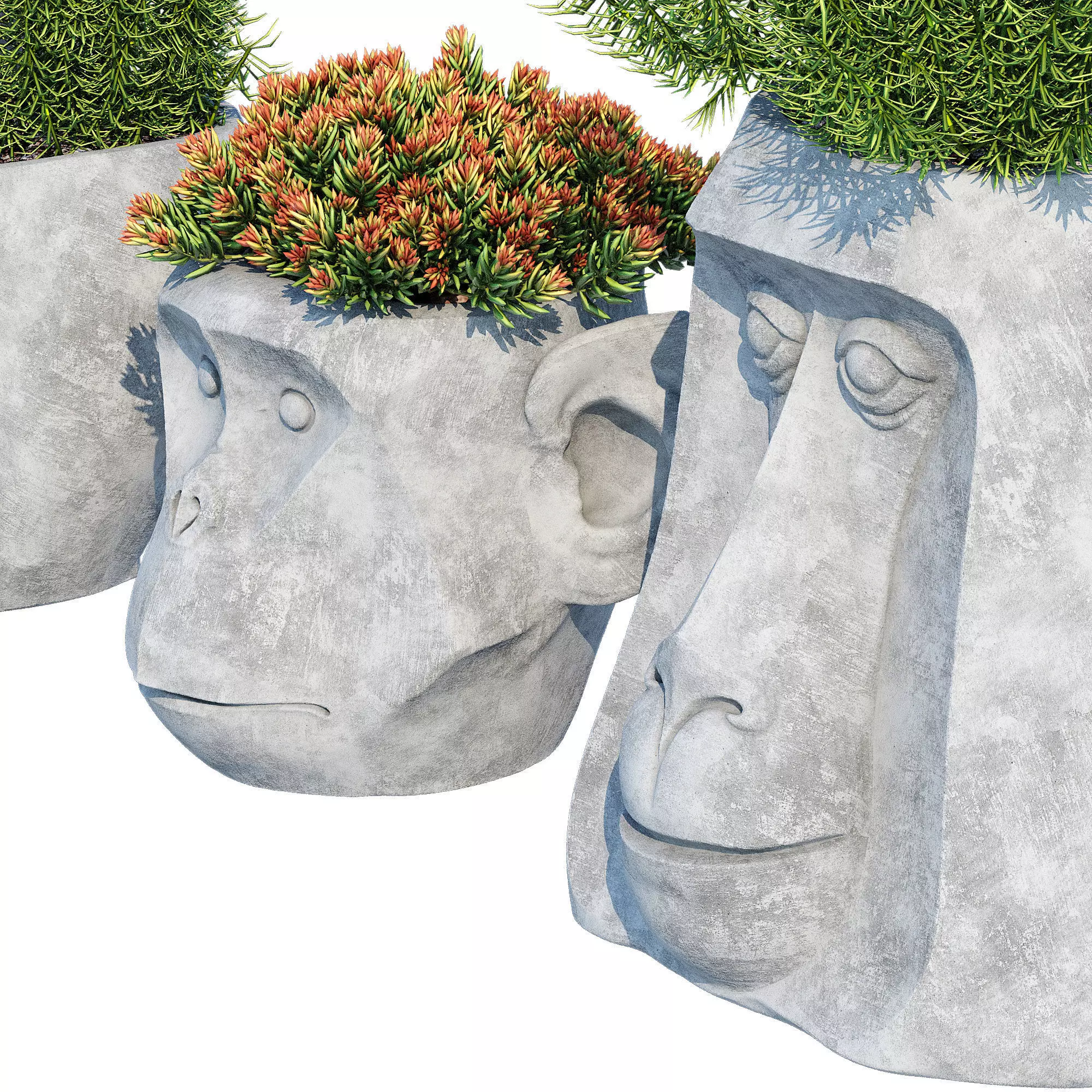 Monkey Head 3D model_5