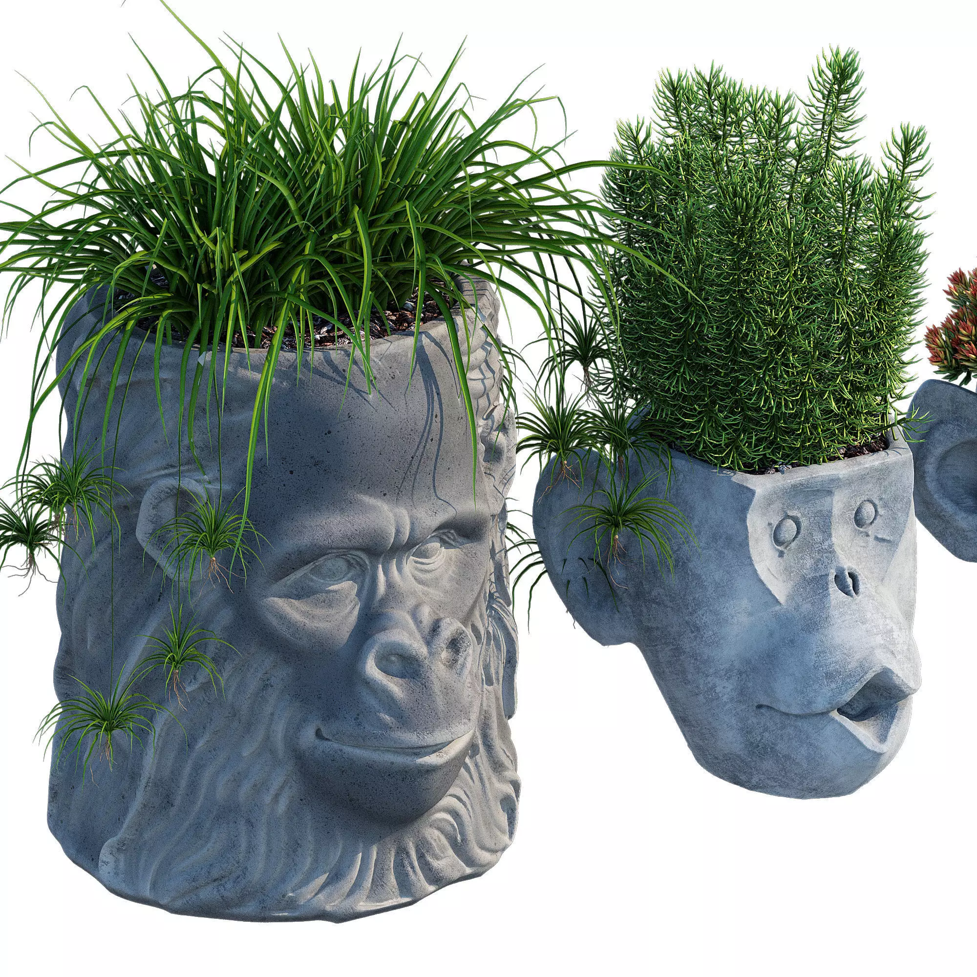 Monkey Head 3D model_4