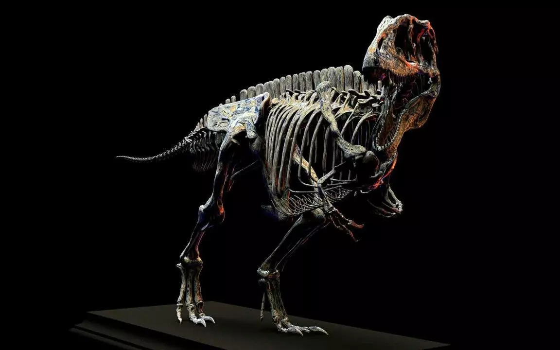 Carcharodontosaurus Skeleton 3D print model_5