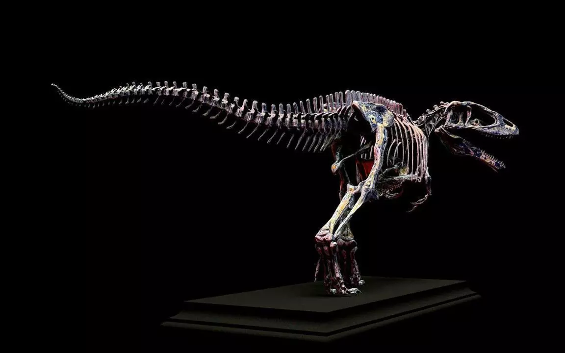 Carcharodontosaurus Skeleton 3D print model_1