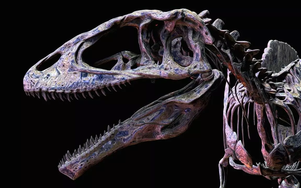 Carcharodontosaurus Skeleton 3D print model_3