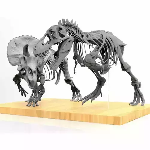 Tyrannosaurus vs triceratops v1