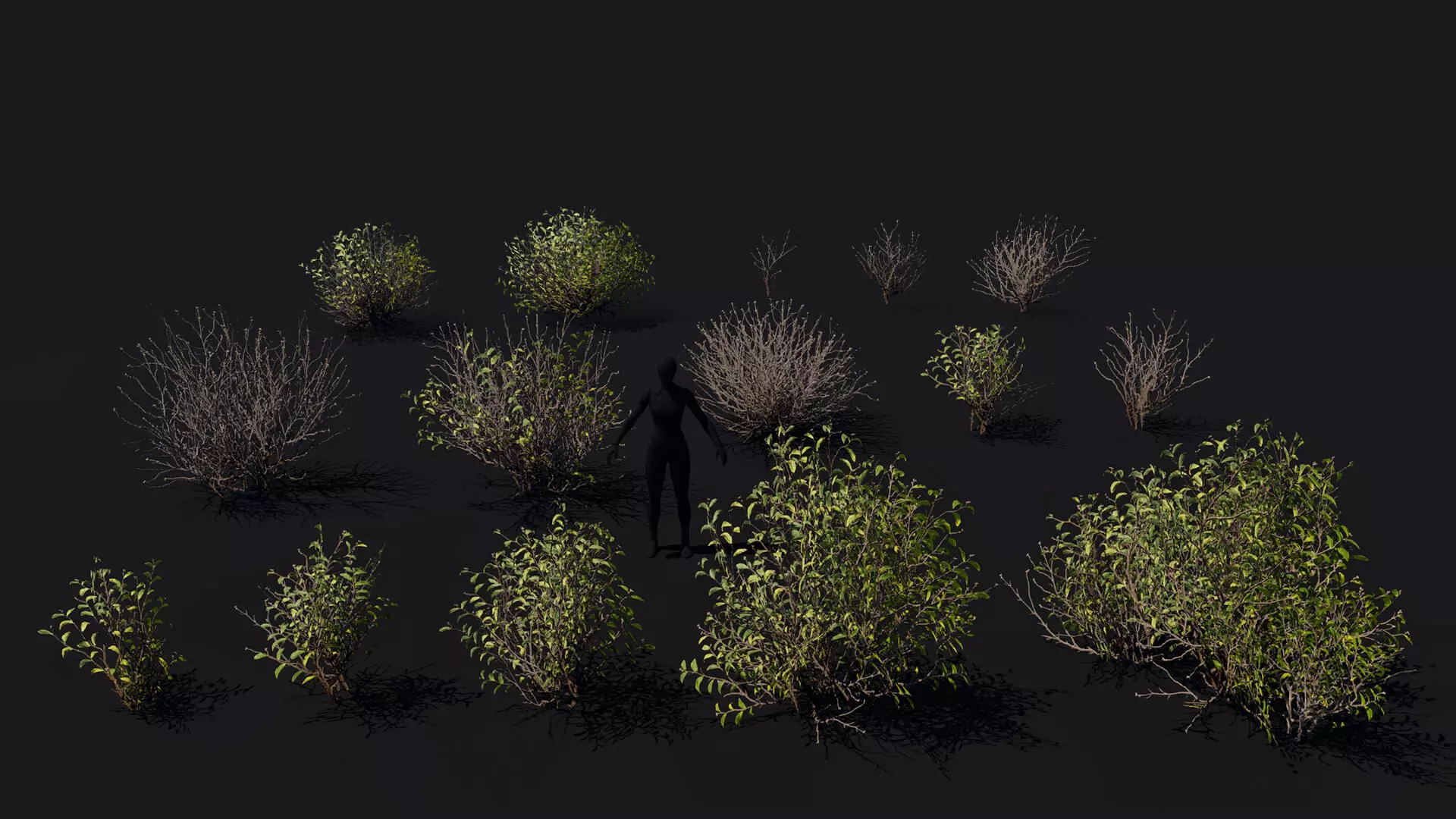 Game ready 15 bushes set Low-poly 3D model_0