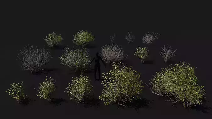 Game ready 15 bushes set