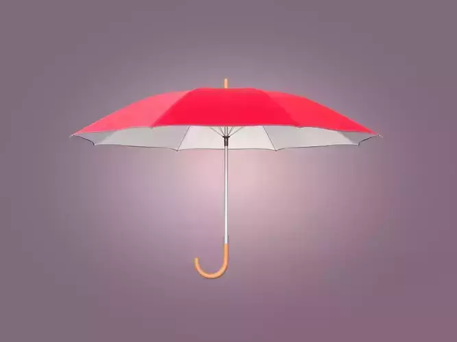 Rain Umbrella